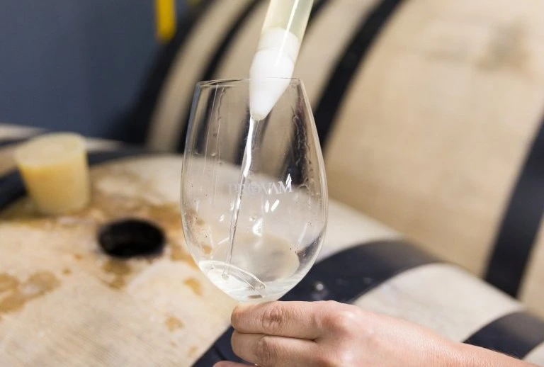 PROVAM - Produtores de Vinho Alvarinho de Mon&ccedil;&atilde;o