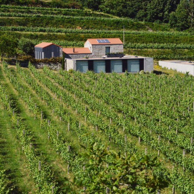 Quinta dos Encados - Activities and Visits