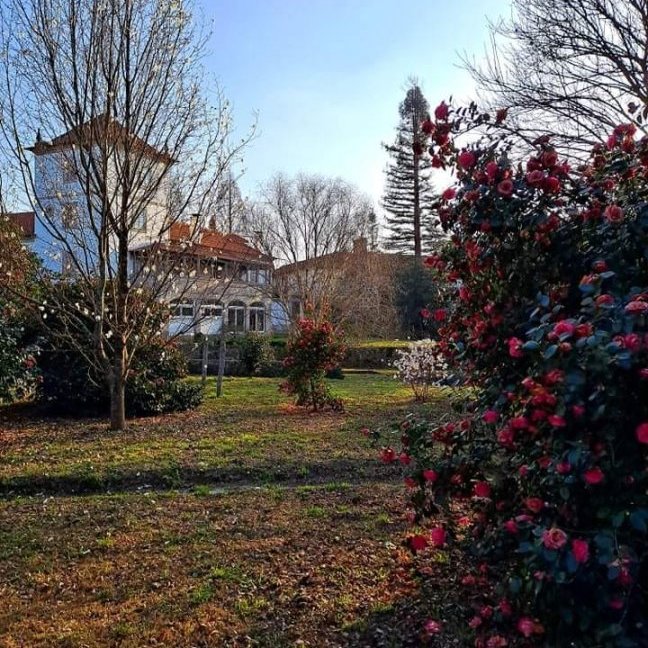 Quinta do Tamariz - Visits and Activities