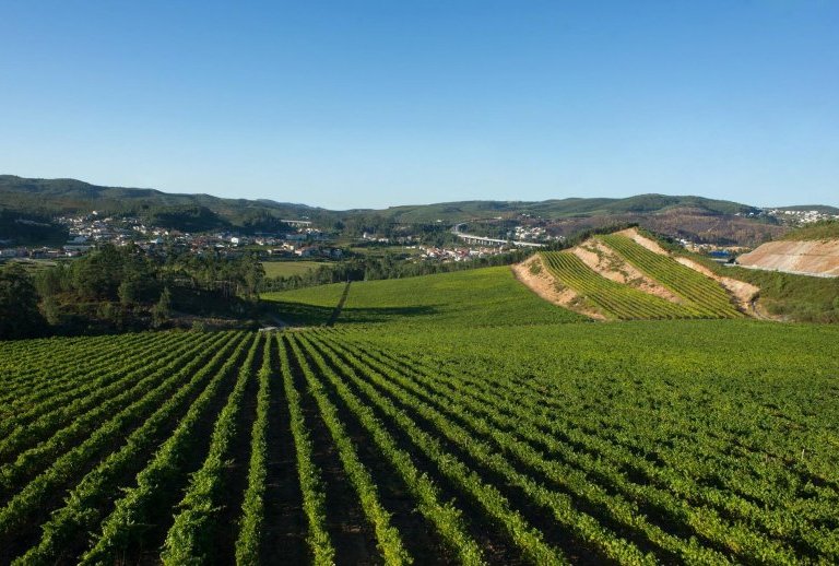 Quinta das Arcas