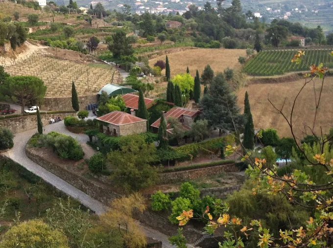 Quinta da Covela - Activities and Visits