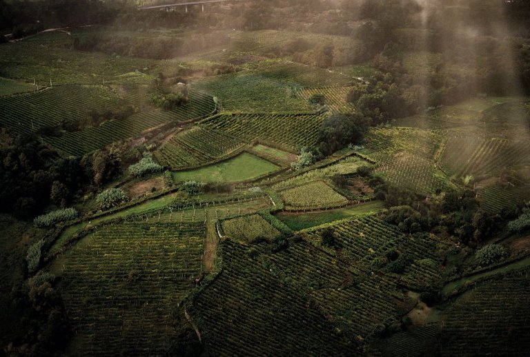 Quintas de Melga&ccedil;o