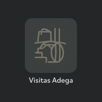 Visitas adega, cave