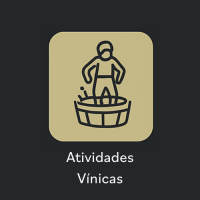Atividades vínicas