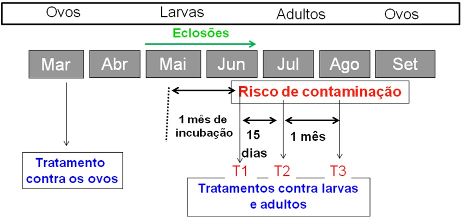 Sanidade da Videira - Doenças - Flavescência Dourada