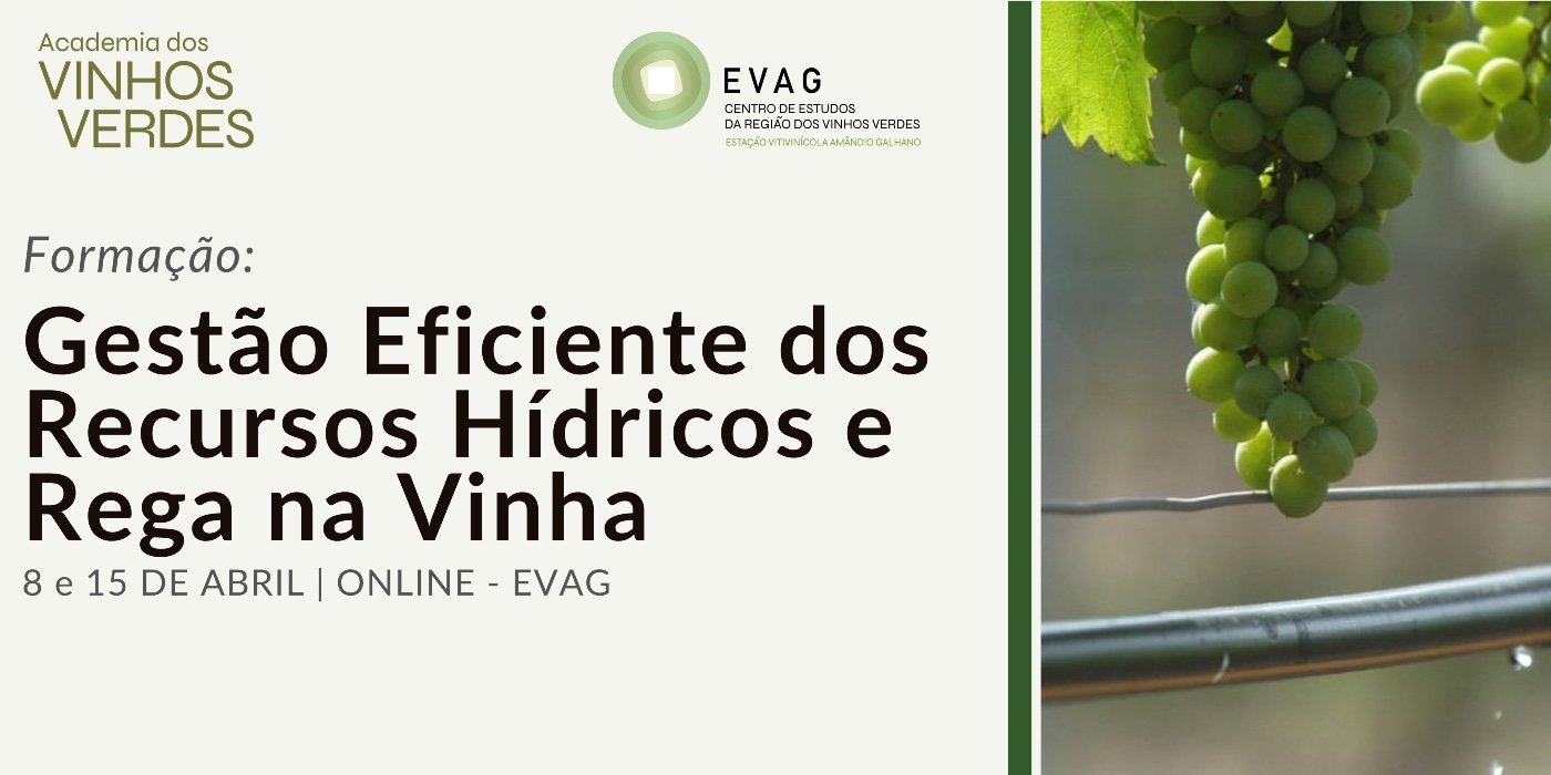 Gest&atilde;o Eficiente dos Recursos H&iacute;dricos e Rega na Vinha: forma&ccedil;&atilde;o a 8 e a 15 de Abril na EVAG